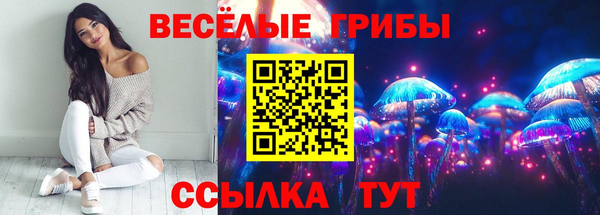 дарнет шоп  Вход с VPN  Галлюциногенные грибы ЛСД  Кудымкар  Псилоцибиновые грибы Psilocybe 